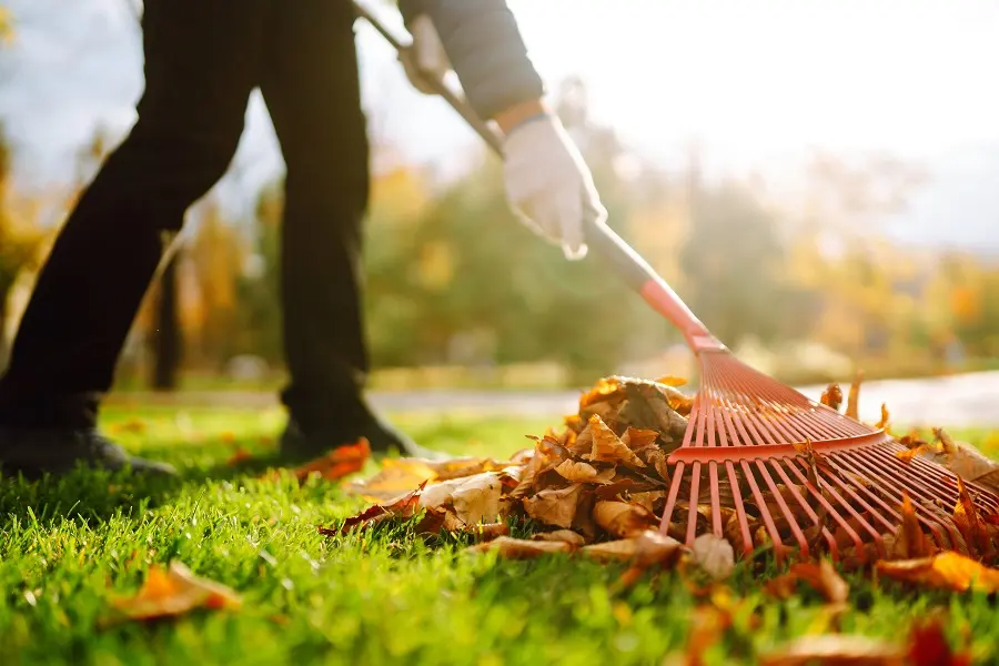 67caaf8ea562009d0d276e9d what is the average cost for spring cleanup in the greater toronto area 2025 prices