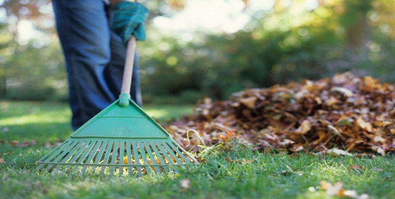 Spring Clean Up 1