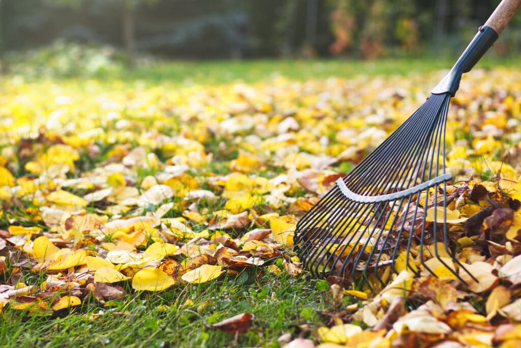 iStock 1028251492 1024x684 1